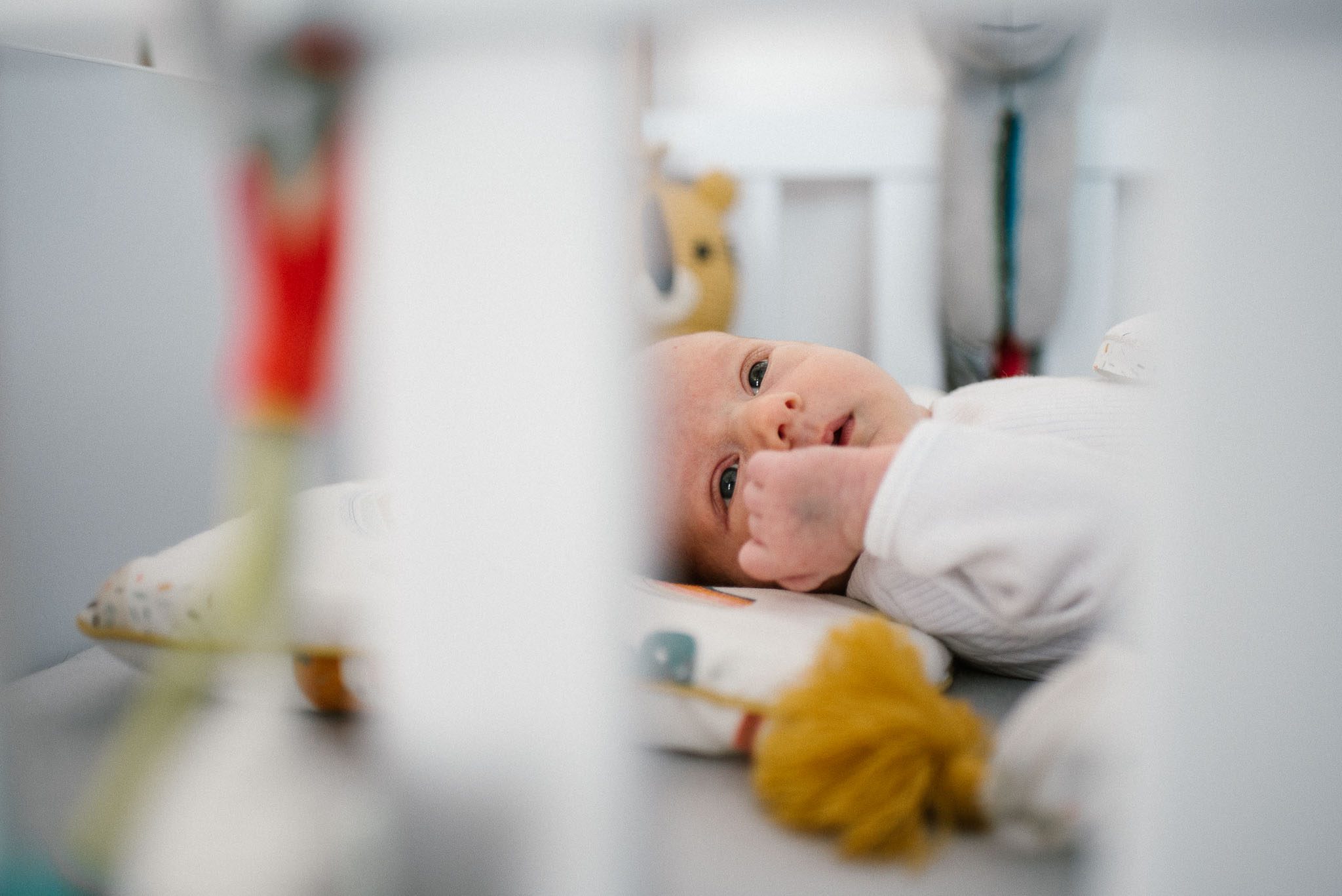 Noworodek leży w łóżeczku - sesja noworodkowa lifestyle w Poznaniu