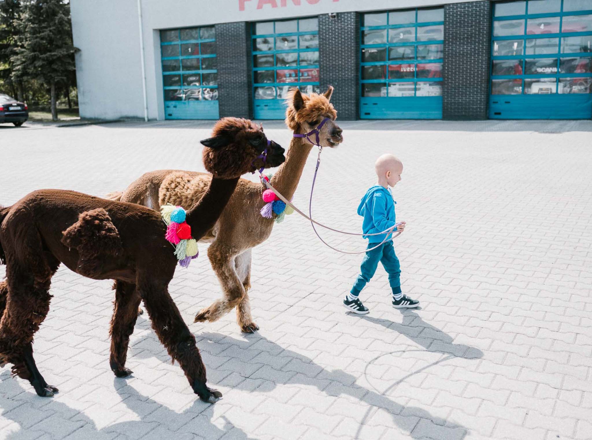 Reportaż onkologia Poznań projekt społeczny urodziny w Straży Pożarnej