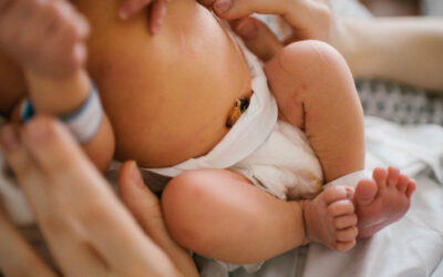 Sesja noworodkowa w szpitalu – Poznań Szpital Polna